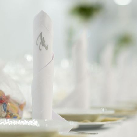 Villa Vanilla Kędzierzyn-Koźle エクステリア 写真